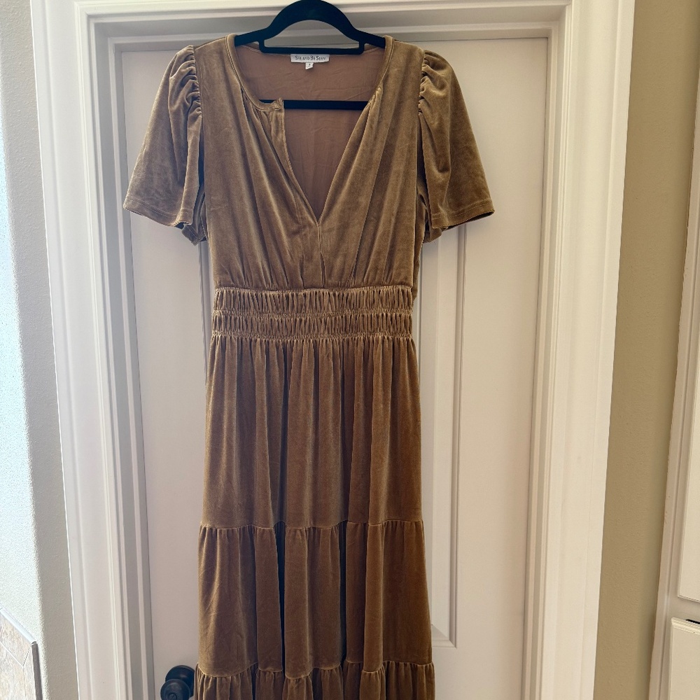 See and Be Seen gold velvet NWOT